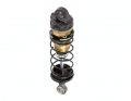 AVID RC - AE Ringer 13mm Shock Kit | Black-AV10121-SET