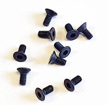 SWORKz FH/ST HEX Screw M2x4.6mm (10)